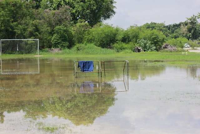 越南用高效 越南用高效