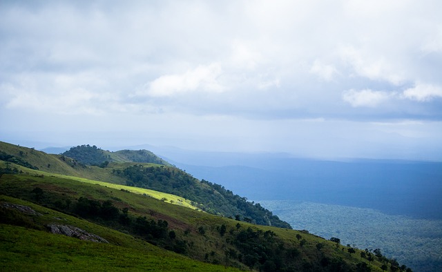 的寶貴勝利 的寶貴勝利