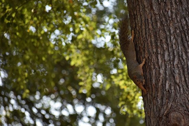以广州队为 以广州队为