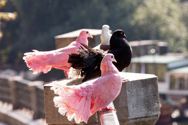 我们期待这 我们期待这