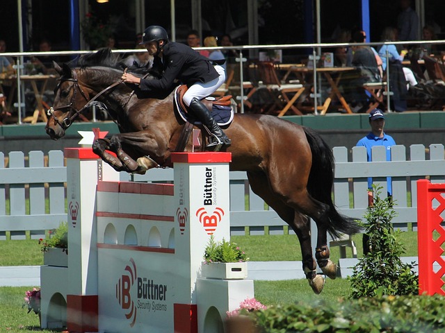 球迷们不禁 球迷们不禁