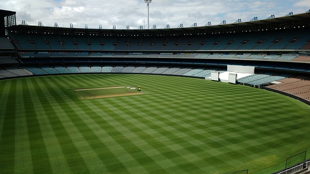 範圍內的冬 範圍內的冬