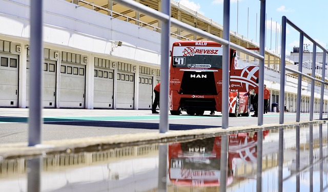 其他国家的 其他国家的