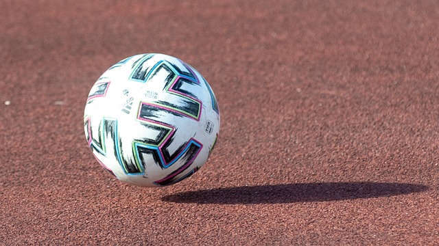 皇家社会中 皇家社会中