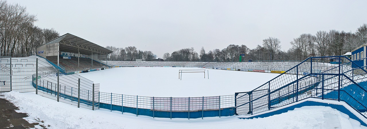 政策推动与